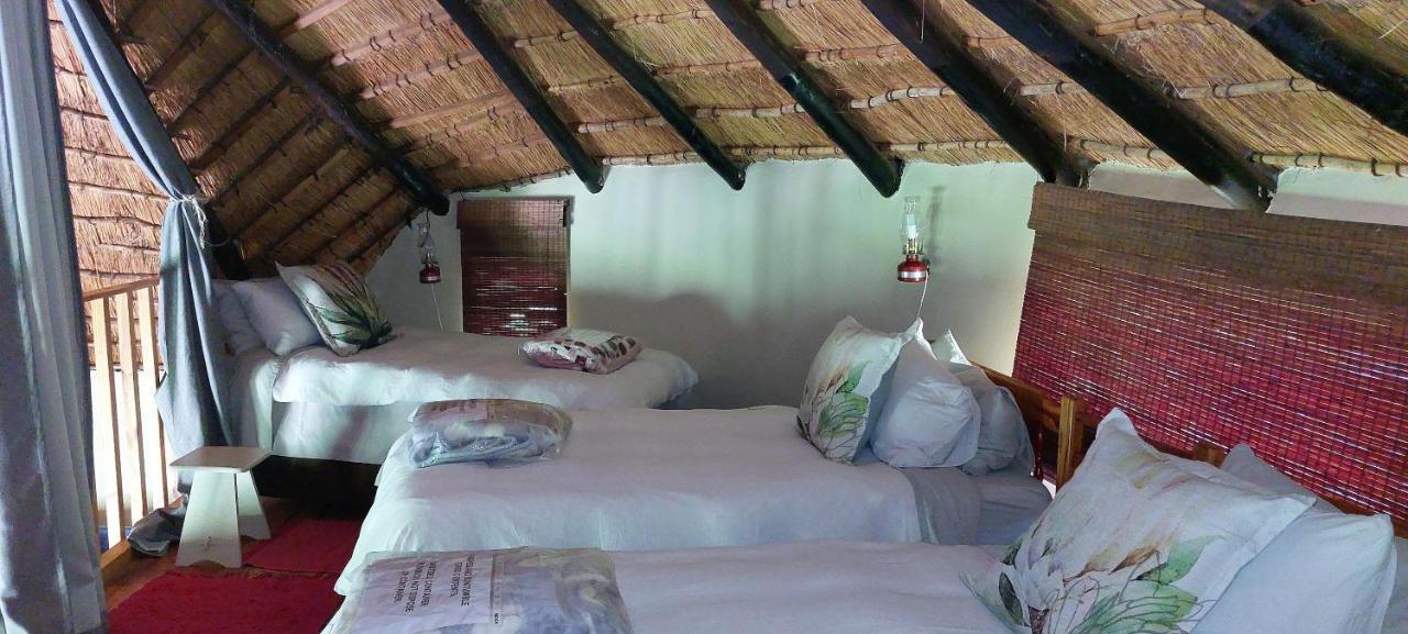 Blackbrook Farm Underberg Εξωτερικό φωτογραφία
