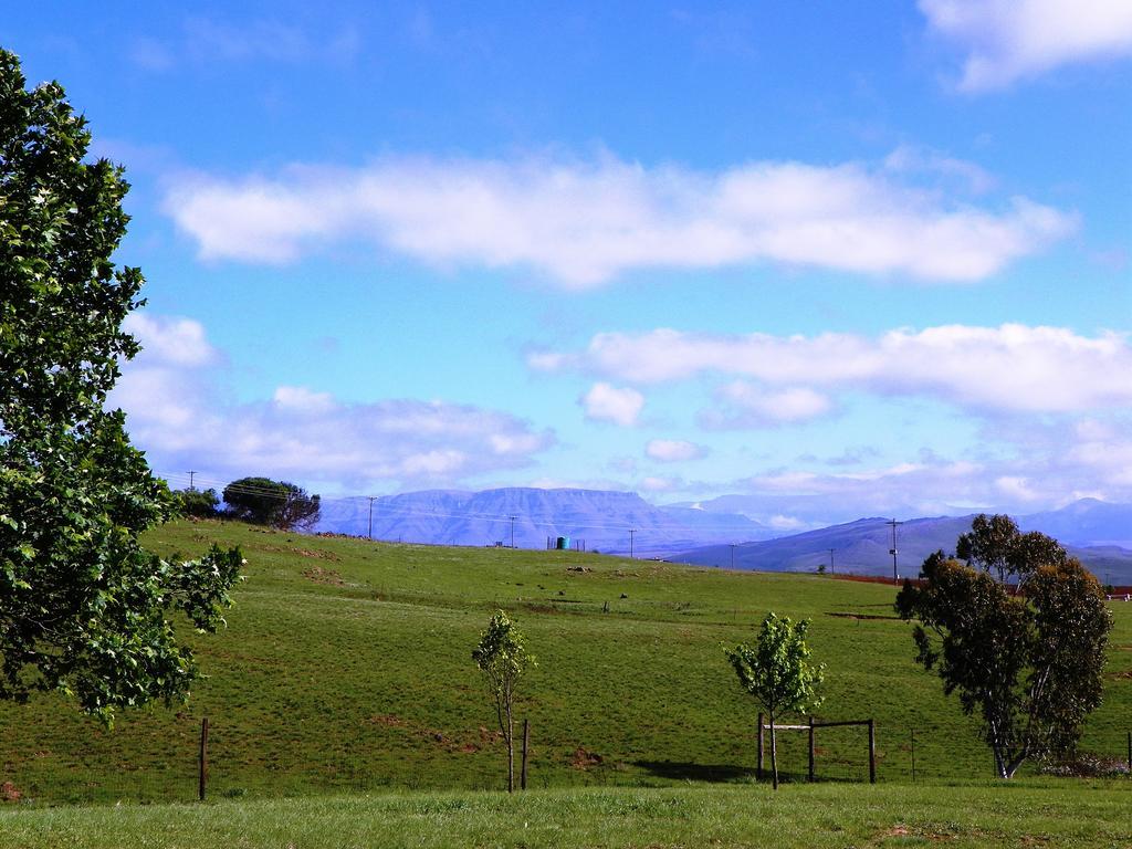 Blackbrook Farm Underberg Εξωτερικό φωτογραφία