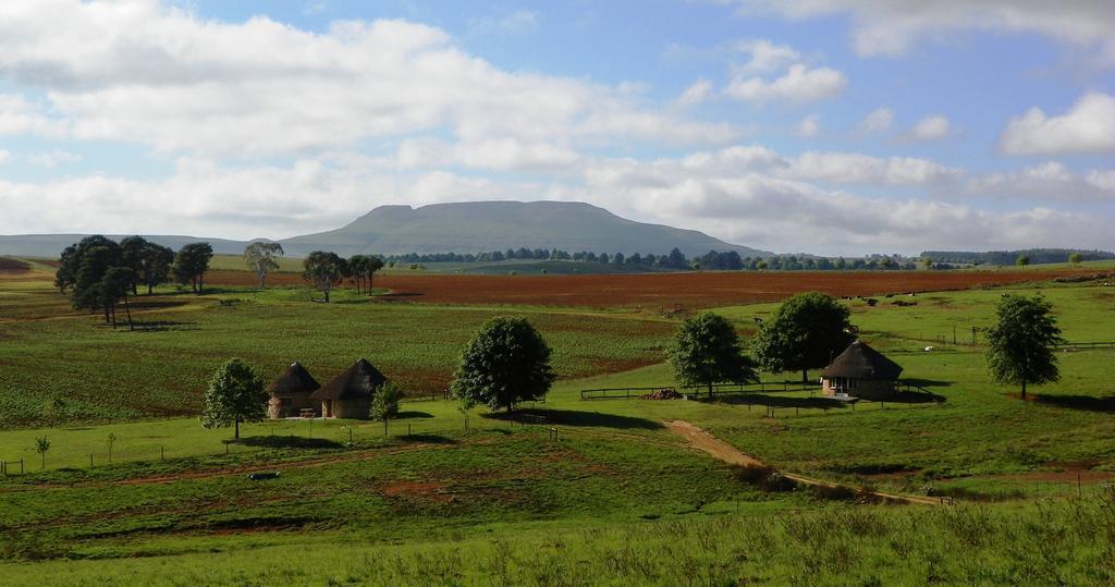 Blackbrook Farm Underberg Εξωτερικό φωτογραφία